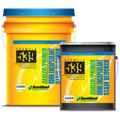 Sentinel 539 Smoke & Odor Encapsulant * With Anti-Microbial Product Protection Clear