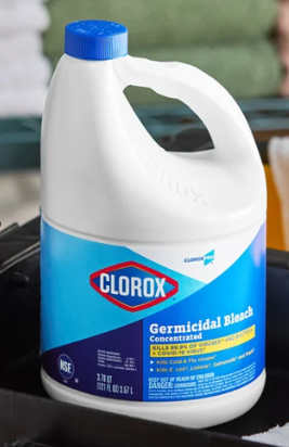Clorox Germicidal Bleach (1 Gal)